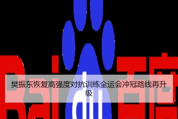 樊振东恢复高强度对抗训练全运会冲冠路线再升级